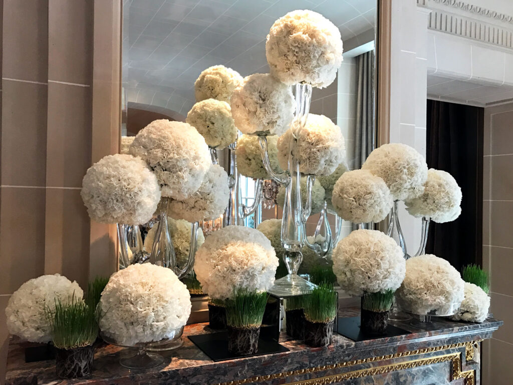 Djordje Varda Hotel De Crillon Paris 2018 John Alexander 30