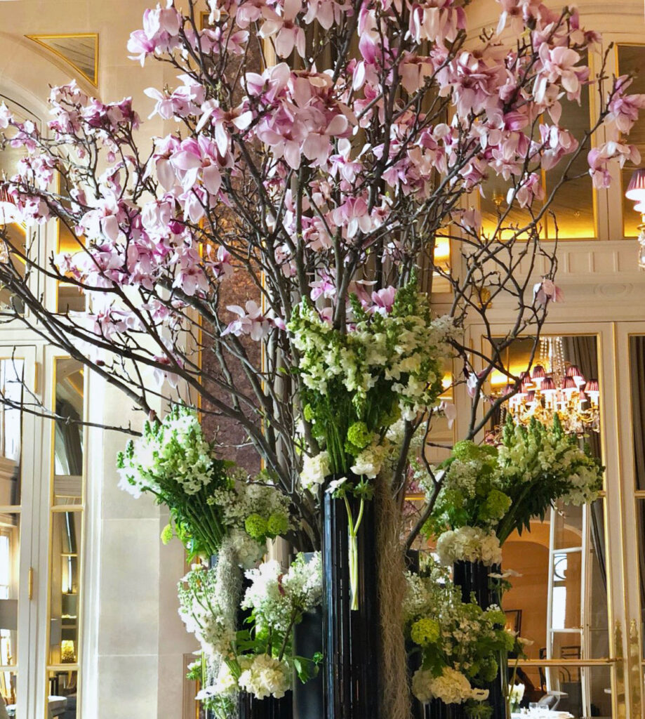 Djordje Varda Hotel De Crillon Paris 2018 John Alexander 8