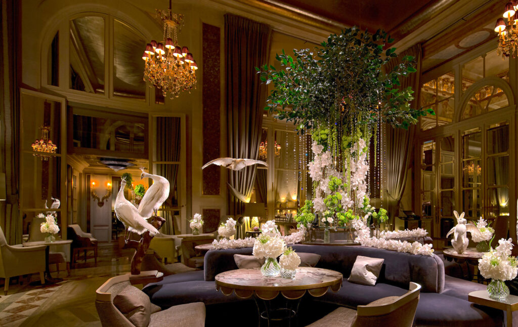 Djordje Varda Hotels 2025 38